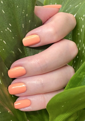 2024 Nail Polish Trends for Spring/Summer