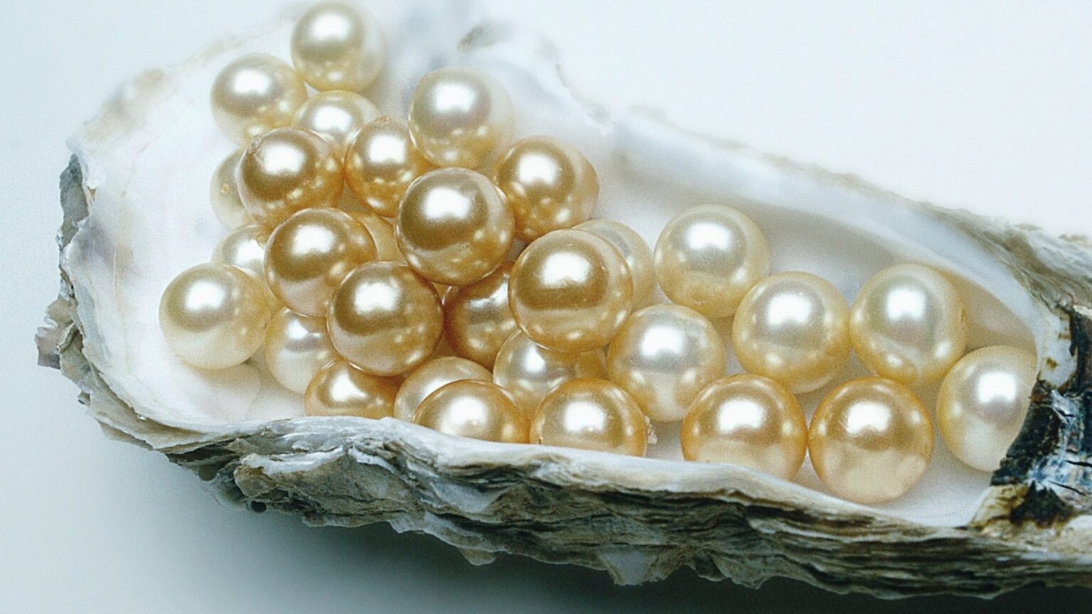 June Birthstone – Pearls a Symbol of Success 4FashionAdvice